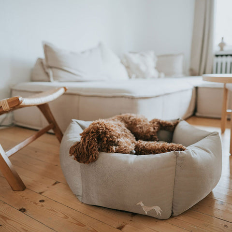 Orthopädisches Hundesofa Merida 6-eckig