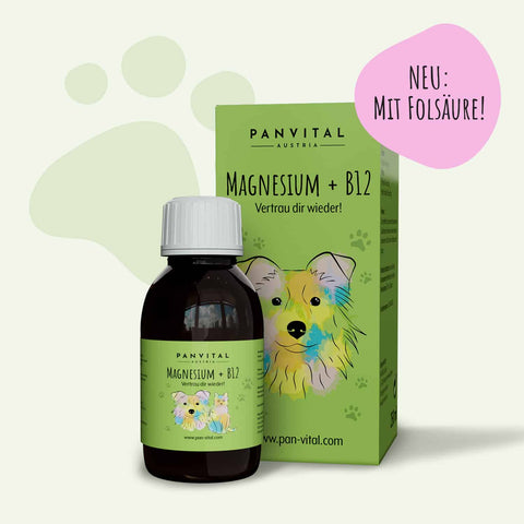 Magnesium & Vitamin B12 flüssig 250 ml