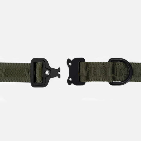 Jacquard Nylon Hundehalsband Apex