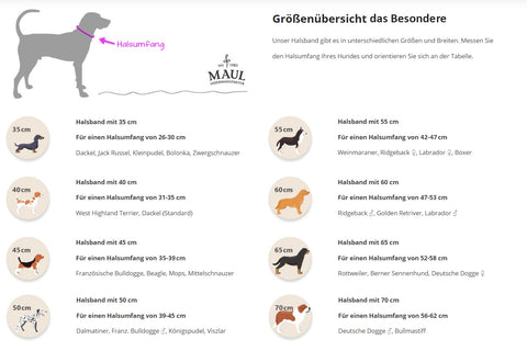 Lederhalsband 007