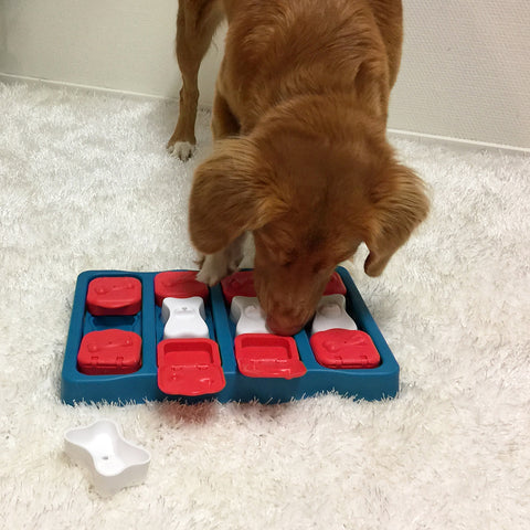 Strategiespiel Dog Brick Stufe 2