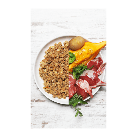 Lamm mit Kürbis, Marille & Kartoffel