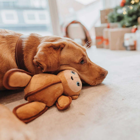 HUNDESPIELZEUG TOUGH TOYS