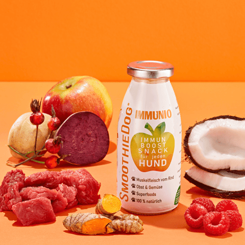 SmoothieDog Immunio