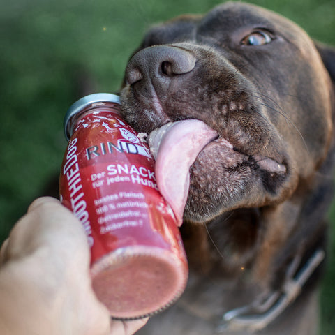 SmoothieDog Rind