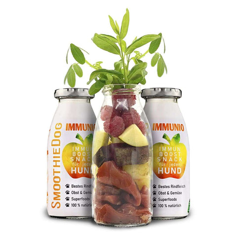 SmoothieDog Immunio