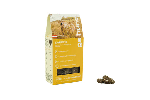 DAMRFIT - DER INSEKTENSNACK