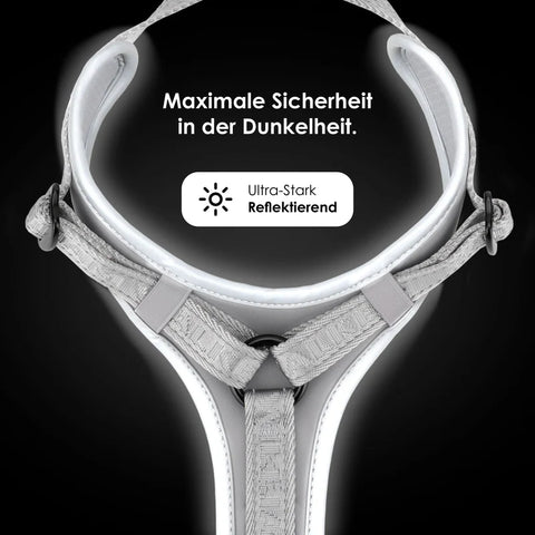 Hundegeschirr Apex Reflektierend