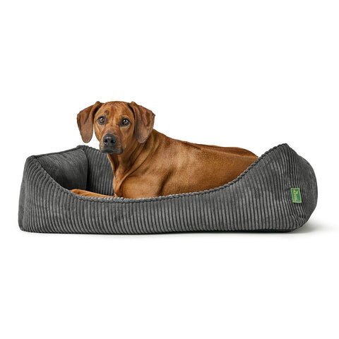 Orthopädisches/Ergonomisches Hundesofa Corbie