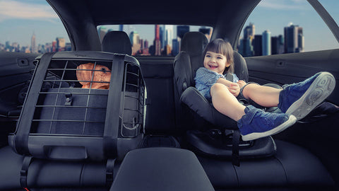 Transportbox Caree von 4 Pets