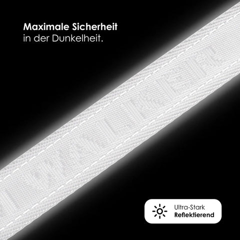 Jacquard Nylon Hundehalsband Apex Reflect