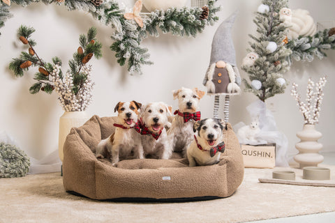 Perla Teddy Mocca Hundebett