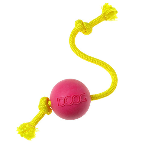 DOOG Fetch-N-Tug Apportierspielzeug Zerrspielzeug