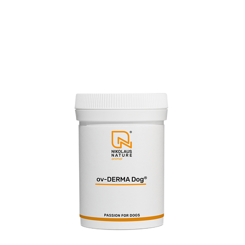 DERMA DOG