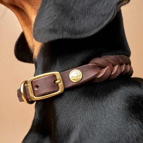 Cloud7 Hundehalsband Central Park Saddle Brown Gold
