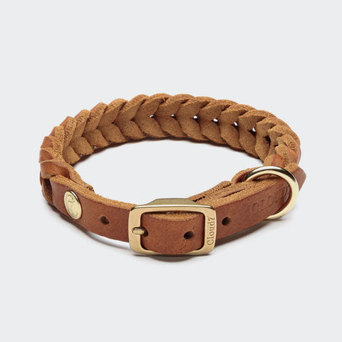 Cloud7 Hundehalsband Central Park Camel Gold