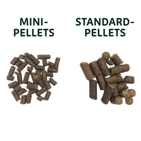 Dr. Ziegler's Rind & Hirse "Mini Pellets"