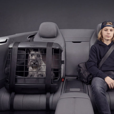 Transportbox Caree von 4 Pets