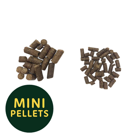 Dr. Ziegler's Ente & Kartoffel "Mini Pellets"
