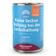 Lachs mit Aprikose