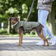 HUNDESTEPPJACKE COSY