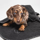 Cloud7 Hundedecke Soft Fleece Dark Grey