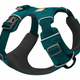 30502-Front-Range-Harness-Tumalo-Teal-Ri