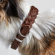 Cloud7 Hundehalsband Central Park Saddle Brown