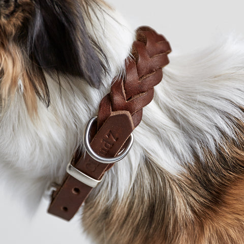Cloud7 Hundehalsband Central Park Saddle Brown