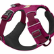 30502-Front-Range-Harness-Hibiscus-Pink-