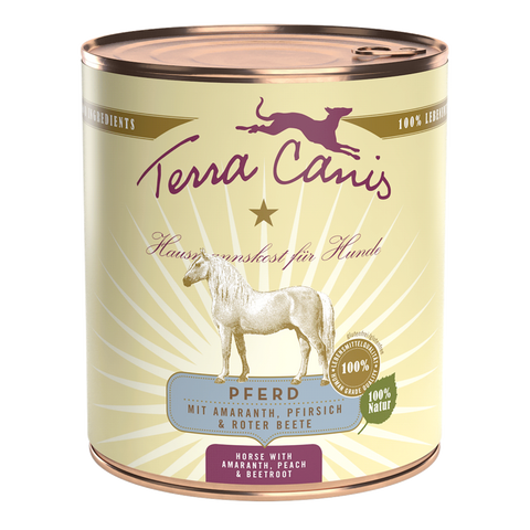 Pferd mit Amaranth, Pfirsich und Roter Bete