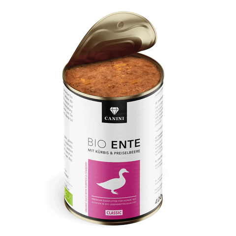 BIO ENTE MIT KÜRBIS & PREISELBEERE
