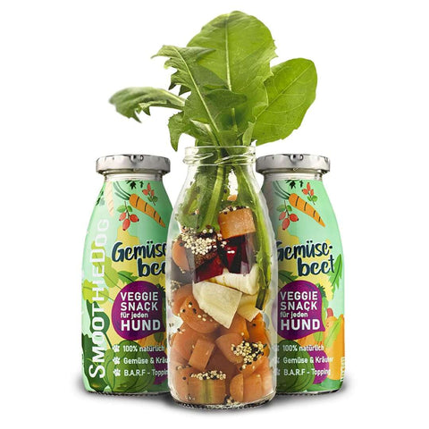 SmoothieDog Gemüsebeet